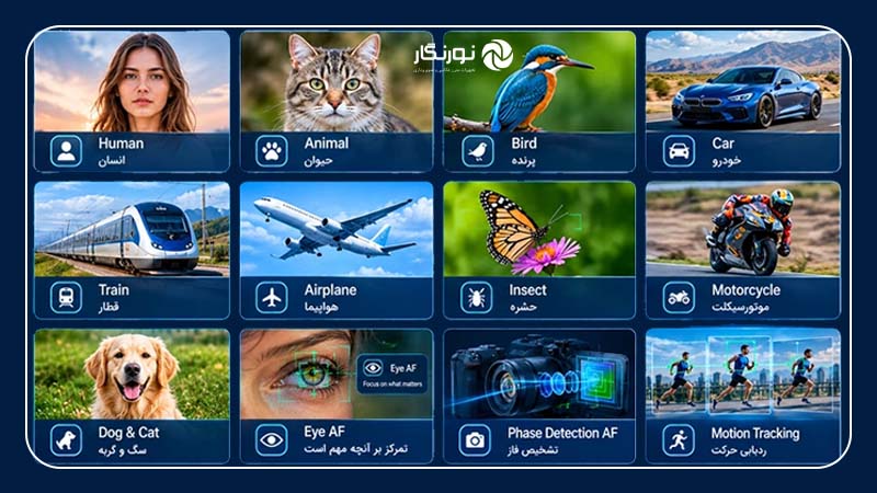 فوکوس هوشمند چه سوژههایی را تشخیص میدهد