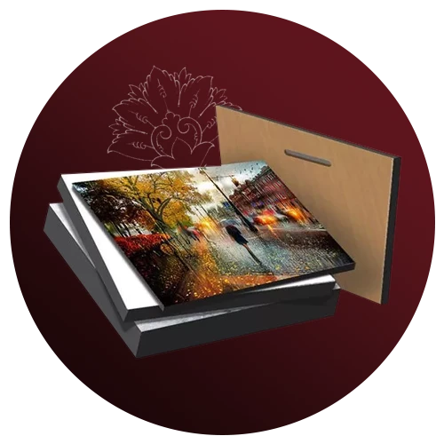 چاپ عکس و شاسی