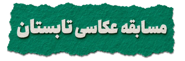 مسابقه عکاسی تابستان نورنگار