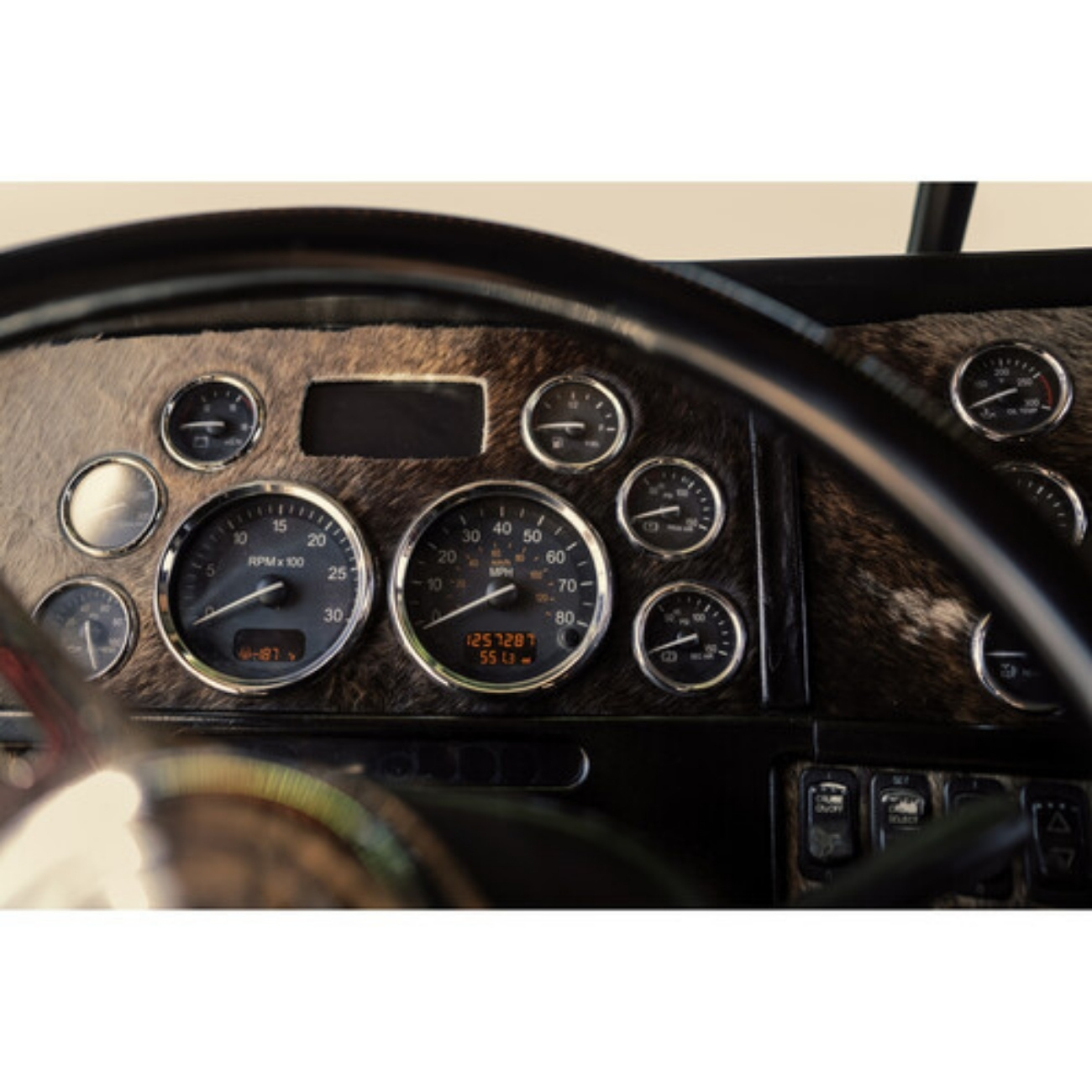 نمونه تصویر 5 با دوربین بدون آینه کانن Canon EOS R6 Mark II Mirrorless Camera