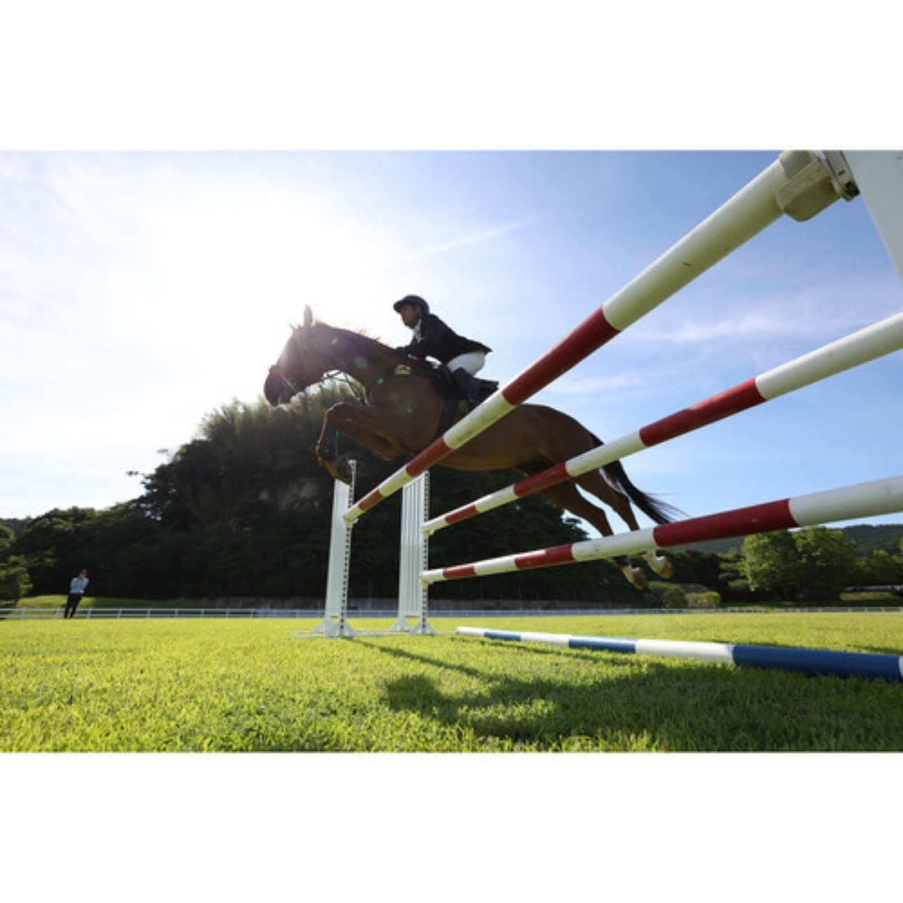 نمونه تصویر 2 با دوربین بدون آینه کانن Canon EOS R6 Mark II Mirrorless Camera