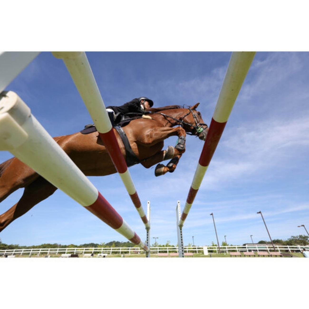 نمونه تصویر 1 با  دوربین بدون آینه کانن Canon EOS R6 Mark II Mirrorless Camera