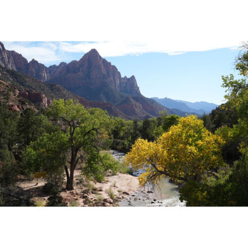 عکاسی لنز سونی Sony FE 50mm f/1.4 GM Lens (Sony E)