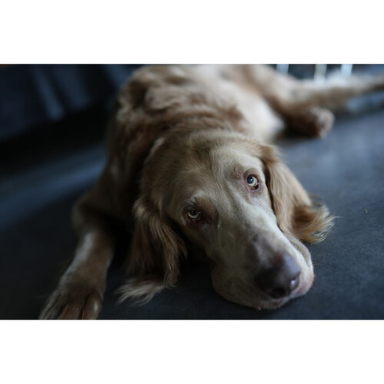 نمونه عکاسی 6 با دوربین بدون آینه سونی  Sony a7C II Mirrorless Camera Silver