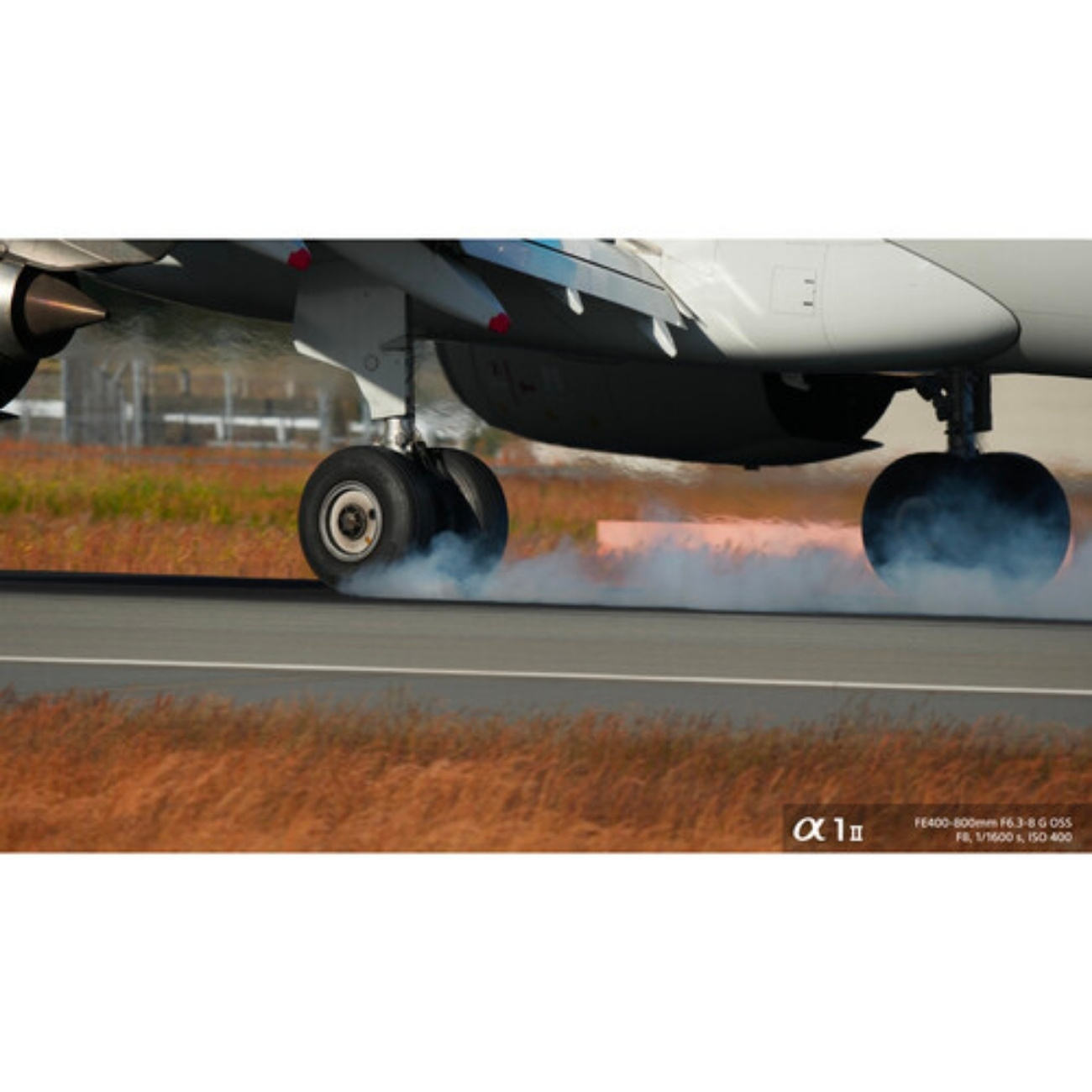 نمایش دقیق جزئیات / لنز سونی Sony FE 400-800mm f/6.3-8 G OSS Lens