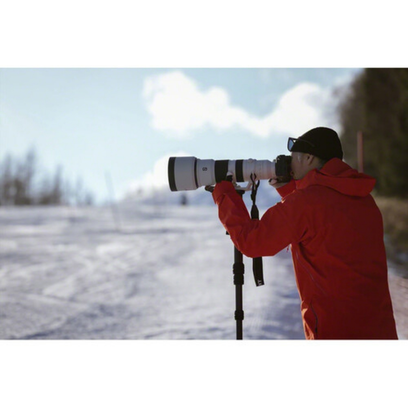 عکاسی در برف / لنز سونی Sony FE 400-800mm f/6.3-8 G OSS Lens