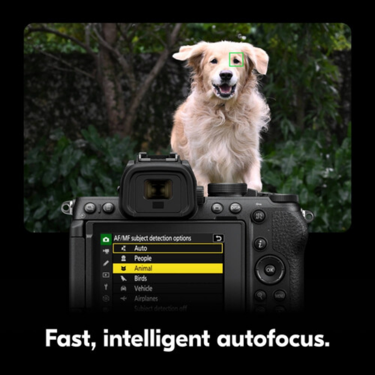 نمایش منوی دوربین عکاسی نیکون Nikon Z5 II Mirrorless Camera with 24-200mm f/4-6.3 Lens