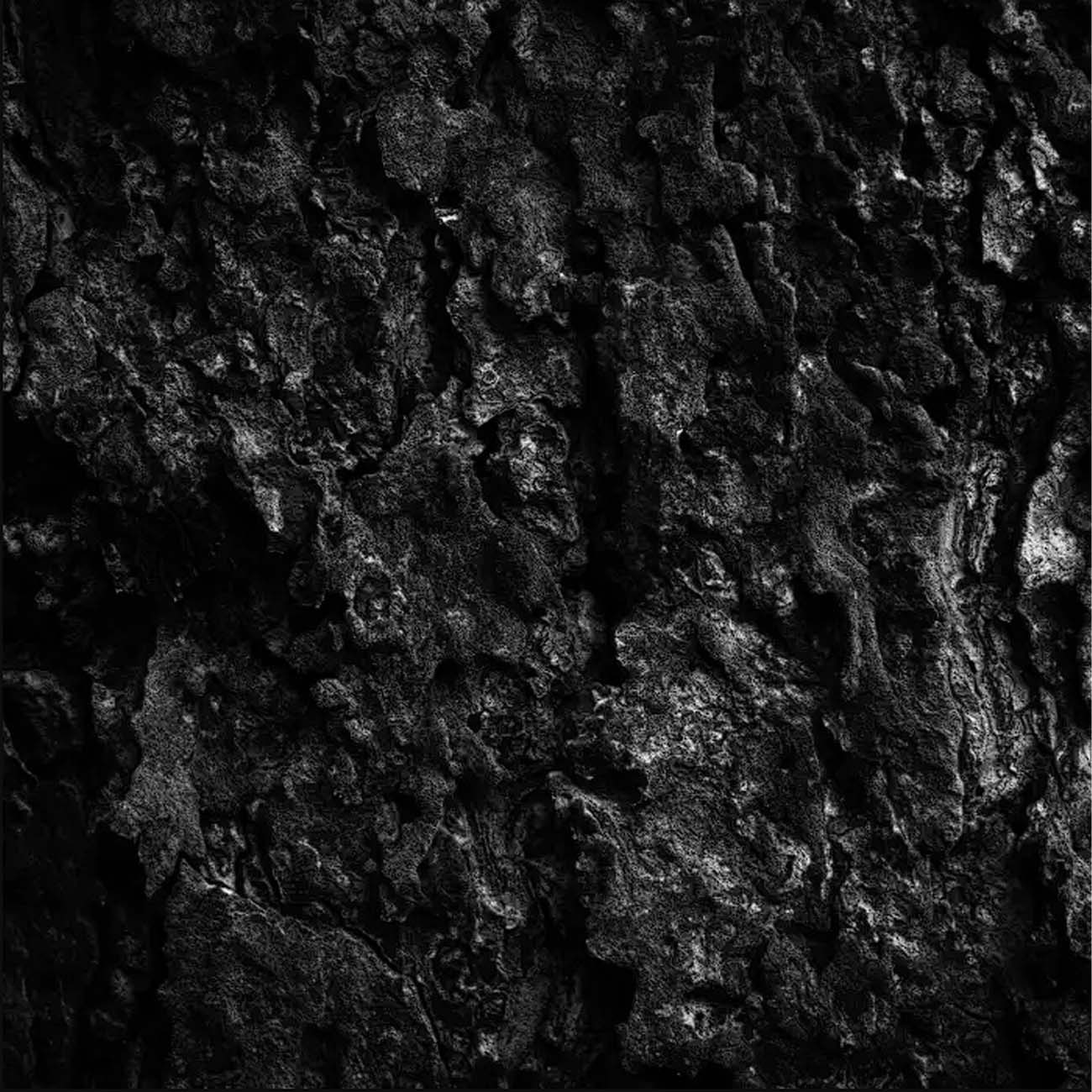 بک دراپ طرح مشکی Black design k29 220cm * 220cm backdrop