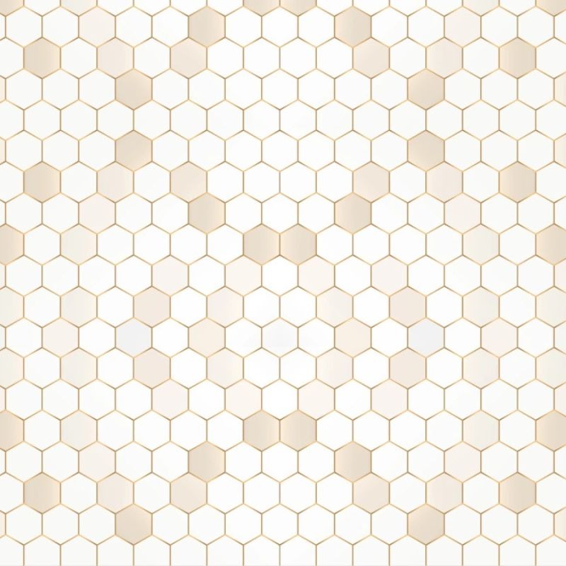 بک دراپ طرح ویژه Special design z13 220cm * 220cm Backdrop