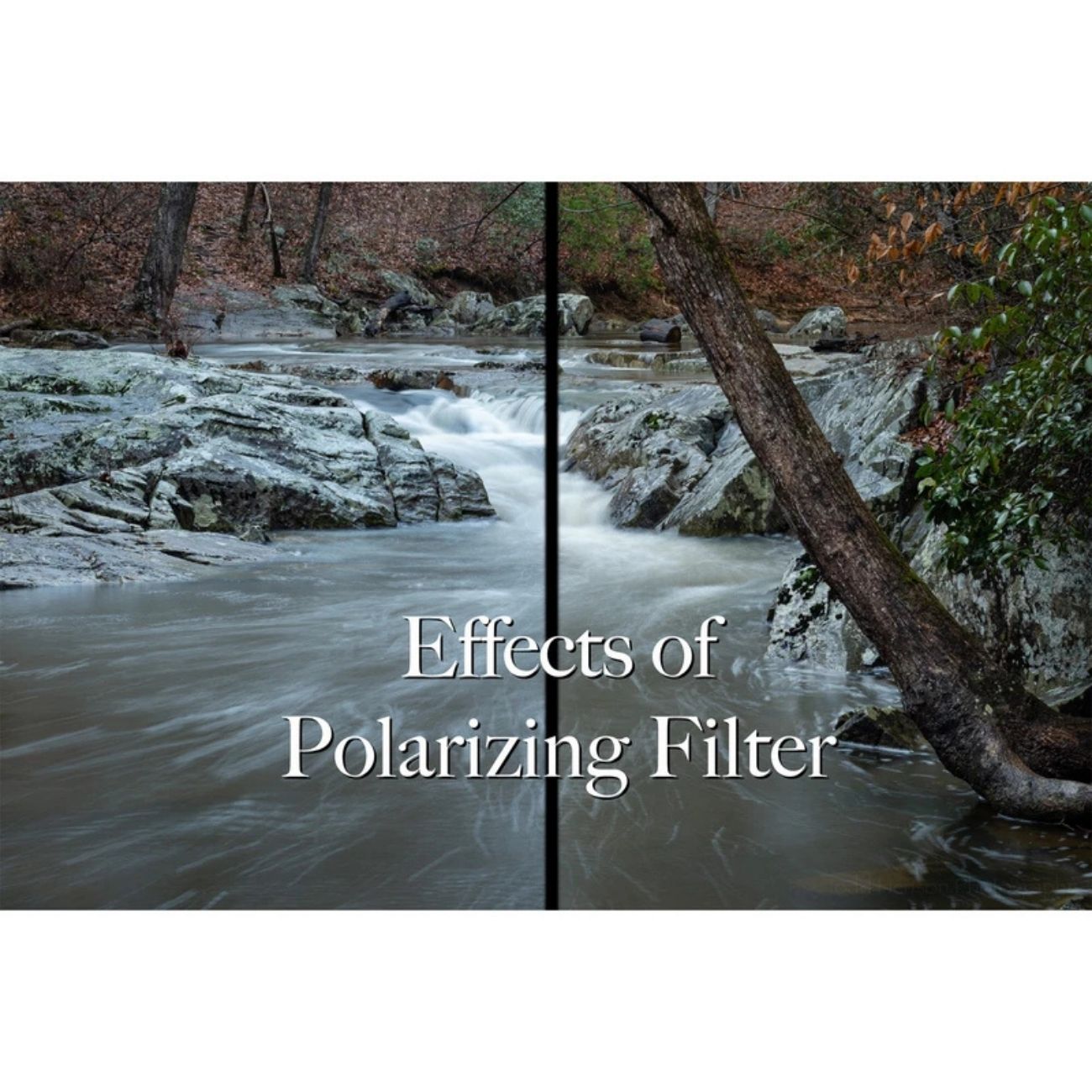 نمای کاربردی از فیلتر لنز پلاریزه بی پلاس دبلیو B+W 52mm Circular Polarizer CPL Slim Filter