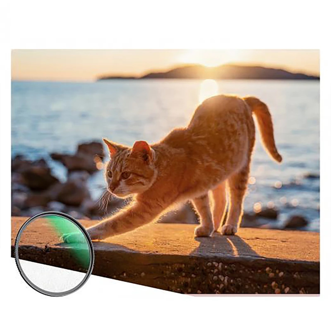 عکس مقایسه ای از فیلتر لنز اسکوپ Scope SOFT 48MM Filter