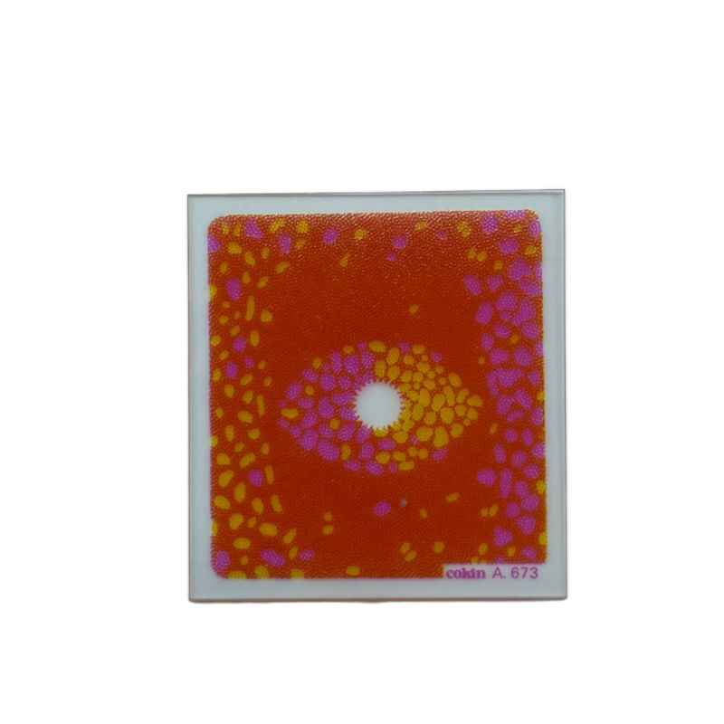 فیلتر لنز کوکین Cokin A Series 673 Square Filter Spot 2 Colors Yellow /Purple