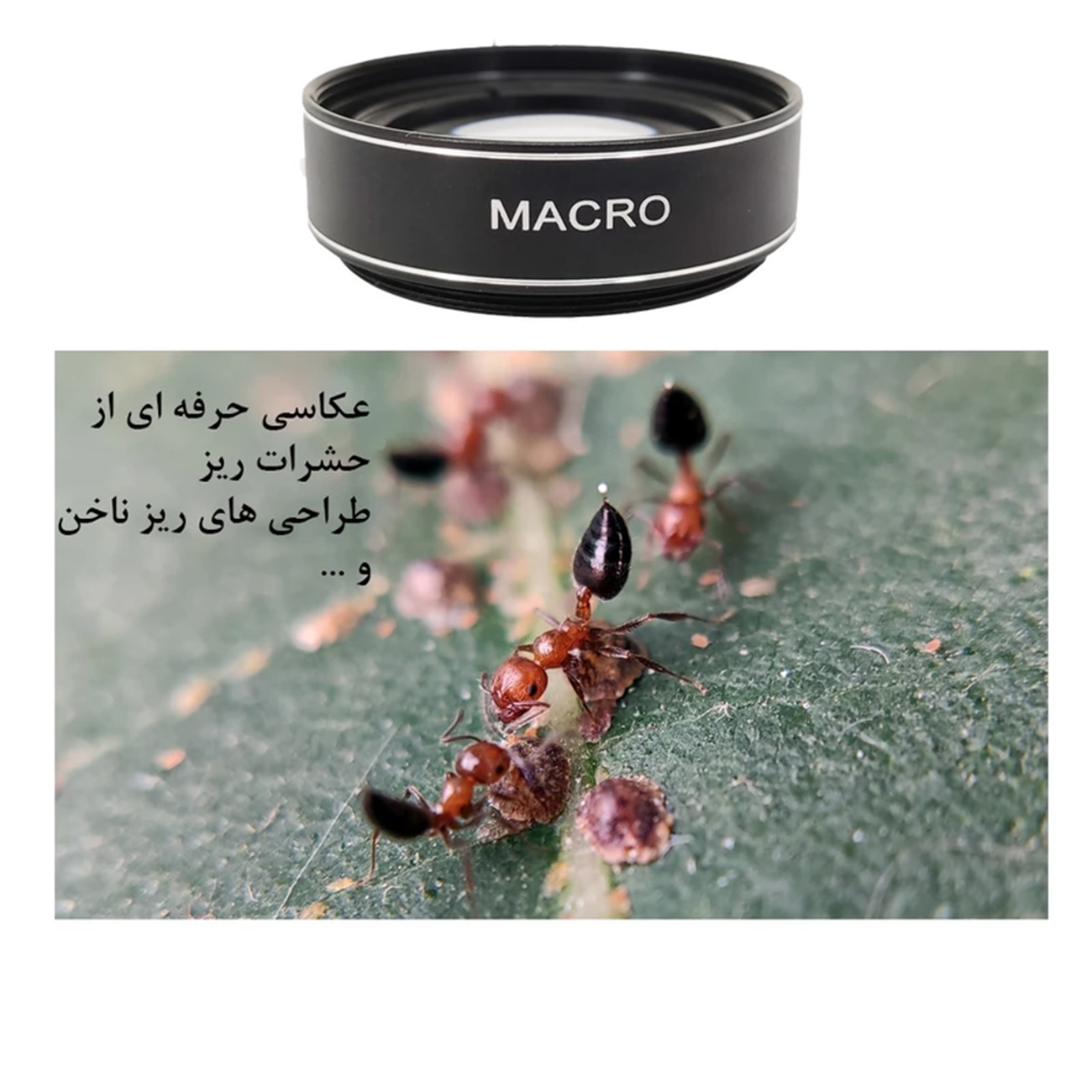عکس در حال استفاده از لنز کلیپسی موبایل زومی Zomei Mobile Phone Clips Lens Super Wide Angle 0.45X