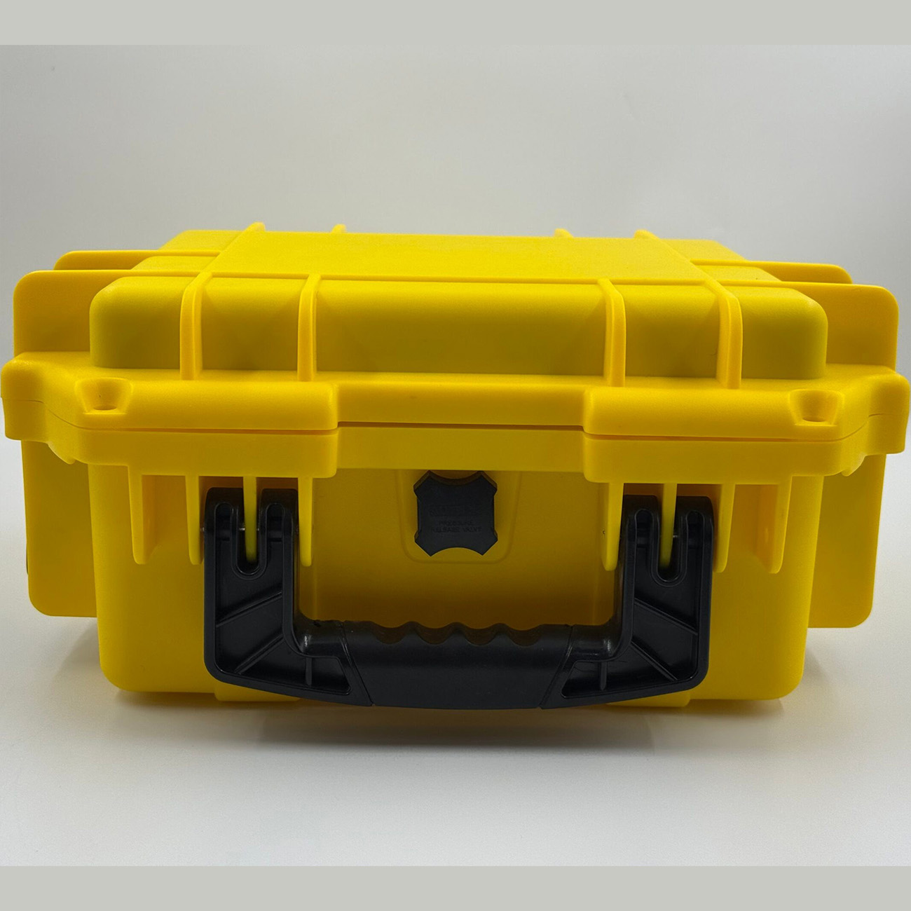 نمای جلو هاردکیس بلک ایگل Black Eagle 2419 Hard Case