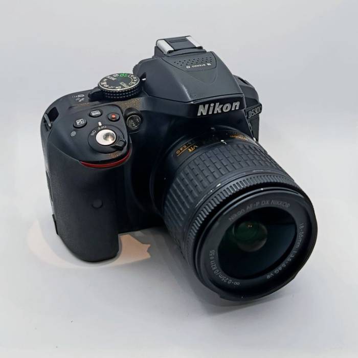 دوربین دست دوم عکاسی نیکون Nikon D5300‌ Kit 18-55mm f/3.5-5.6 G AF-P VR (22000 شات)