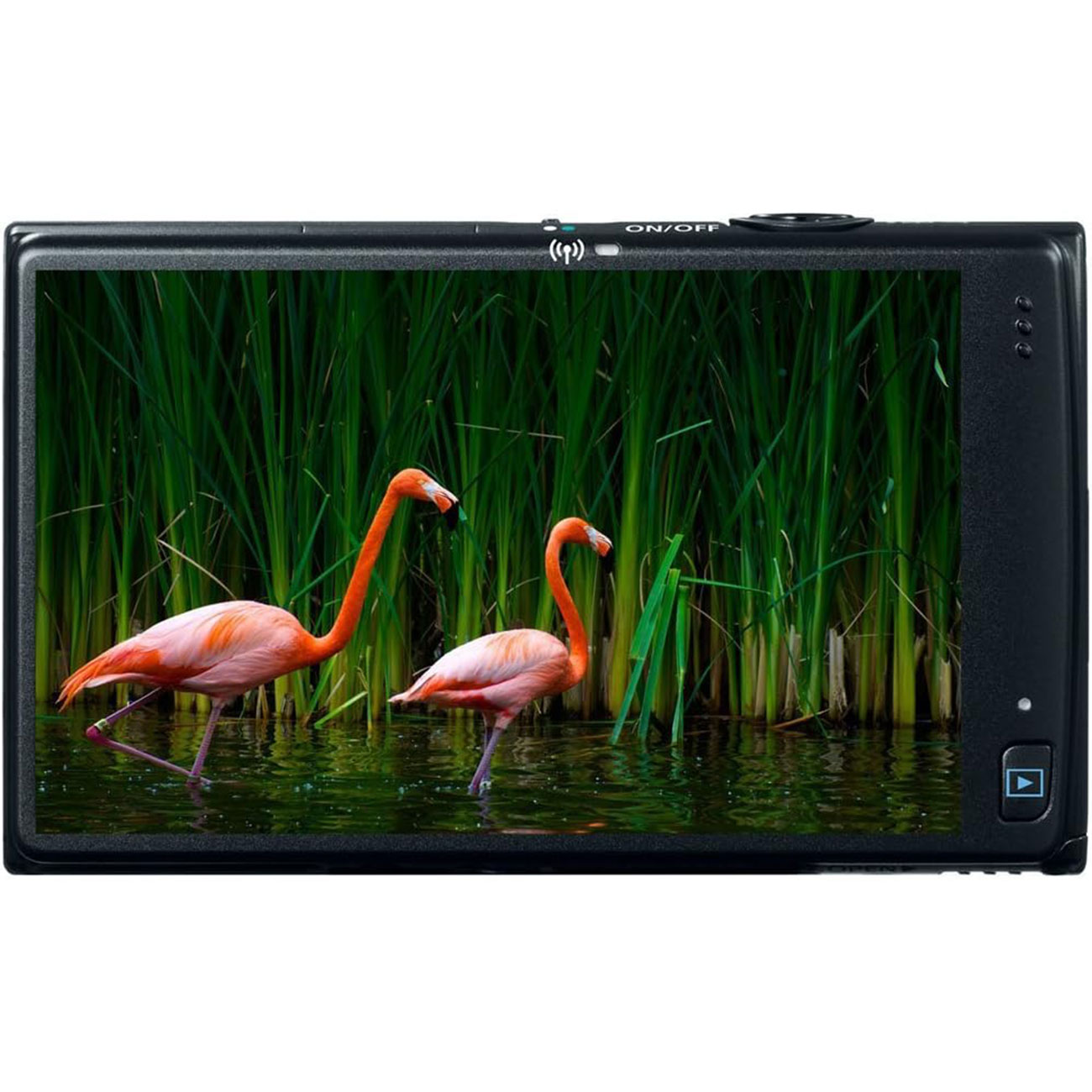 نمای ال سی دی دوربین کامپکت کانن Canon IXUS 240 HS 16.1MP Digital Camera