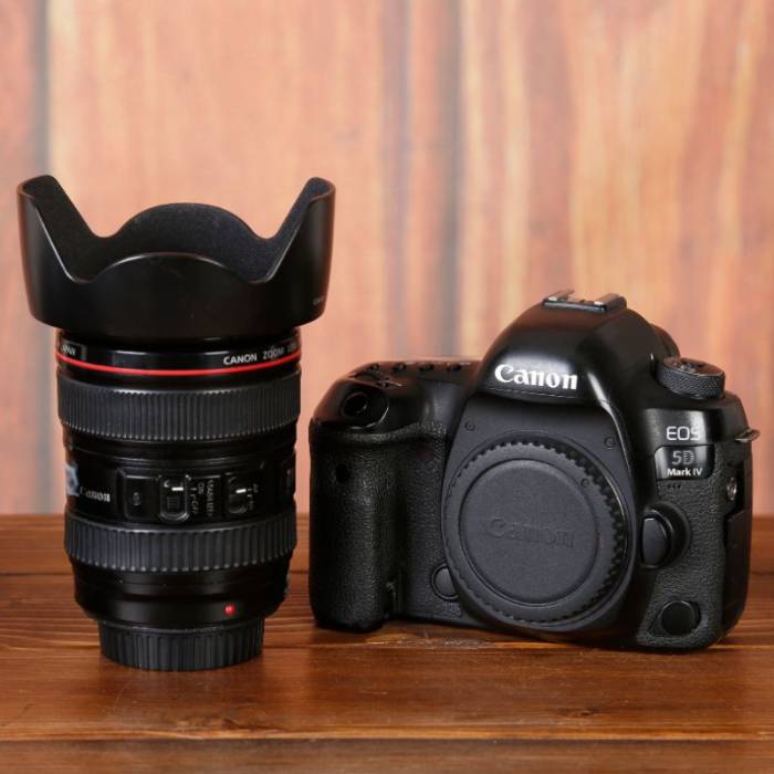 دوربین دست دوم عکاسی کانن Canon EOS 5D Mark IV Kit EF 24-105mm f/4L IS USM (186000 شات)