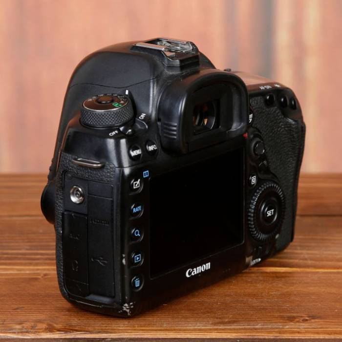 دوربین دست دوم عکاسی کانن Canon EOS 5D Mark IV Body (186000 شات)