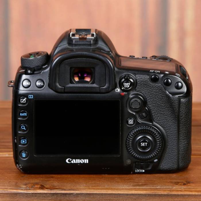 دوربین دست دوم عکاسی کانن Canon EOS 5D Mark IV Body (186000 شات)