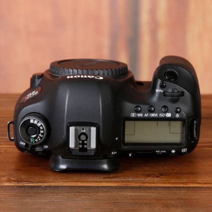 دوربین دست دوم عکاسی کانن Canon EOS 5D Mark III Body (162000 شات)