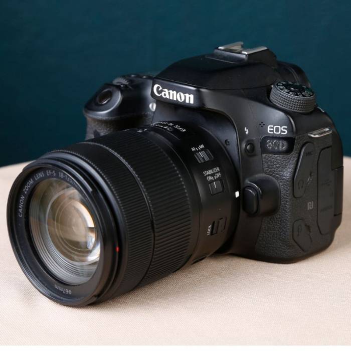 دوربین دست دوم عکاسی کانن Canon EOS 80D Kit 18-135mm f/3.5-5.6 IS USM (10000 شات)