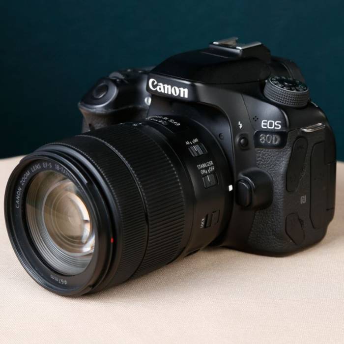 دوربین دست دوم عکاسی کانن Canon EOS 80D Kit 18-135mm f/3.5-5.6 IS USM (31000 شات)