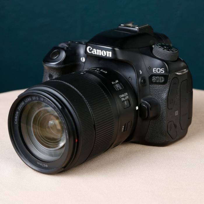 دوربین دست دوم عکاسی کانن Canon EOS 80D Kit 18-135mm f/3.5-5.6 IS USM (49000 شات)