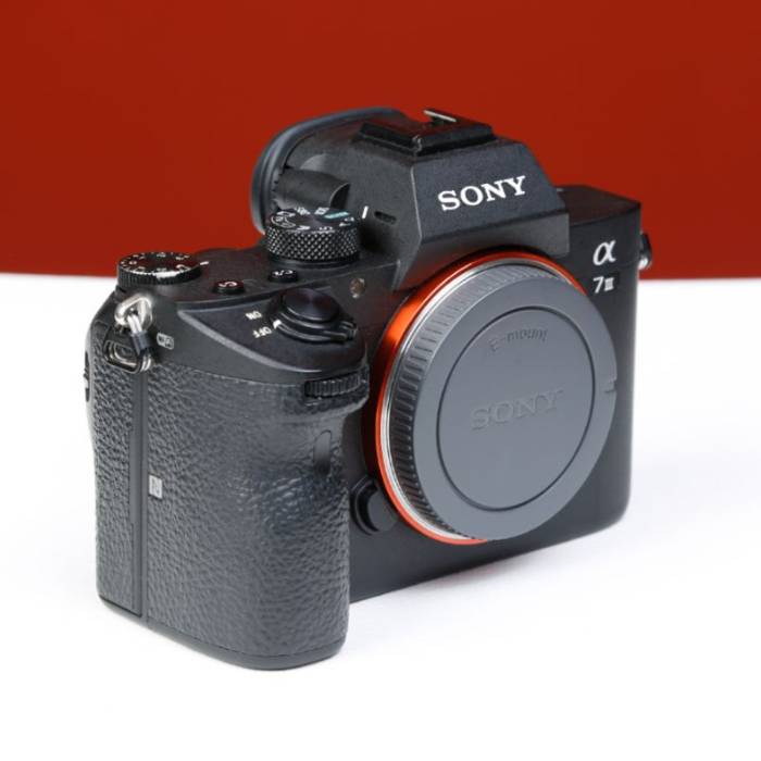 دوربین دست دوم بدون آینه سونی Sony a7 III Mirrorless Camera Body (60000 شات)