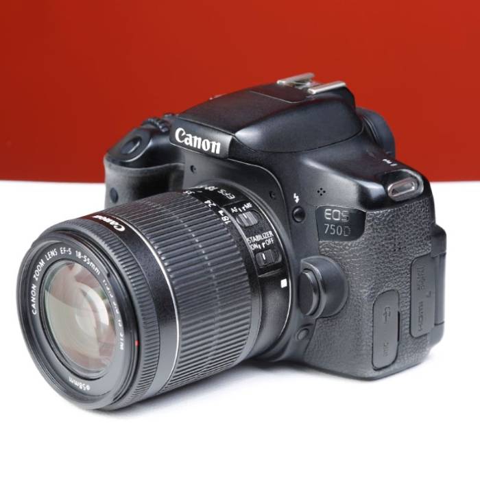 دوربین دست دوم عکاسی کانن Canon EOS 750D Kit 18-55mm f/3.5-5.6 IS STM (260000 شات)