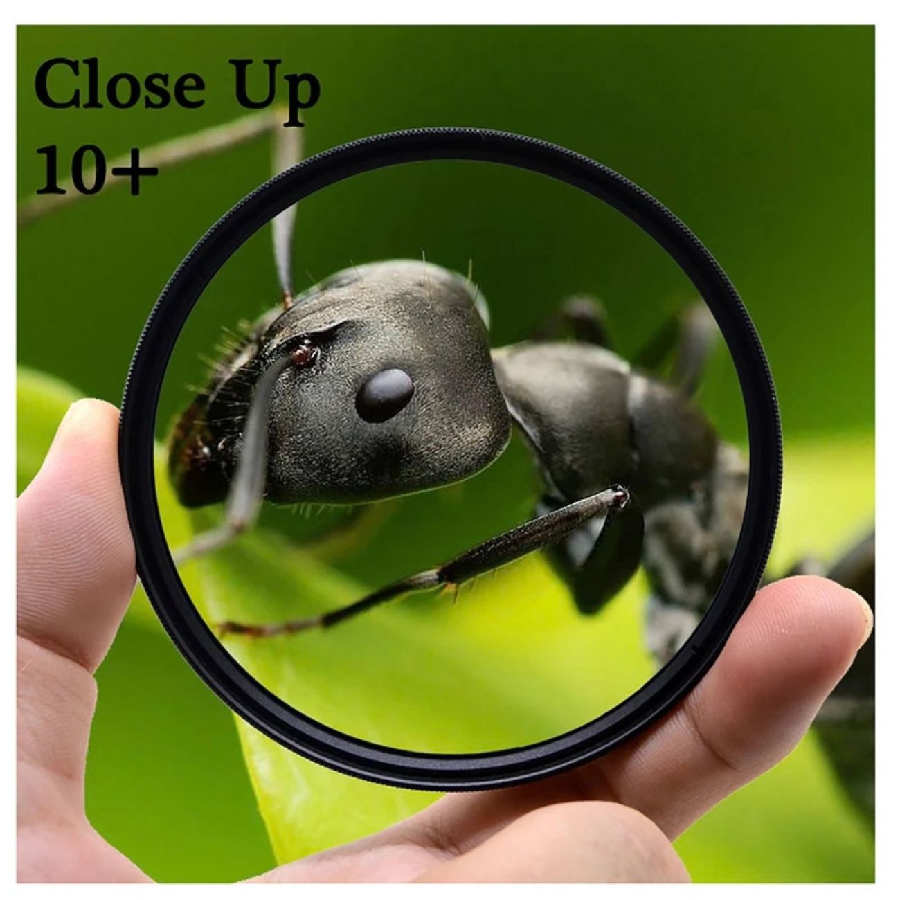 نما نمونه عکس فیلتر لنز مارومی مدل CLOSE-UP DHG ACHROMAT MACRO-330(+3) -67MM