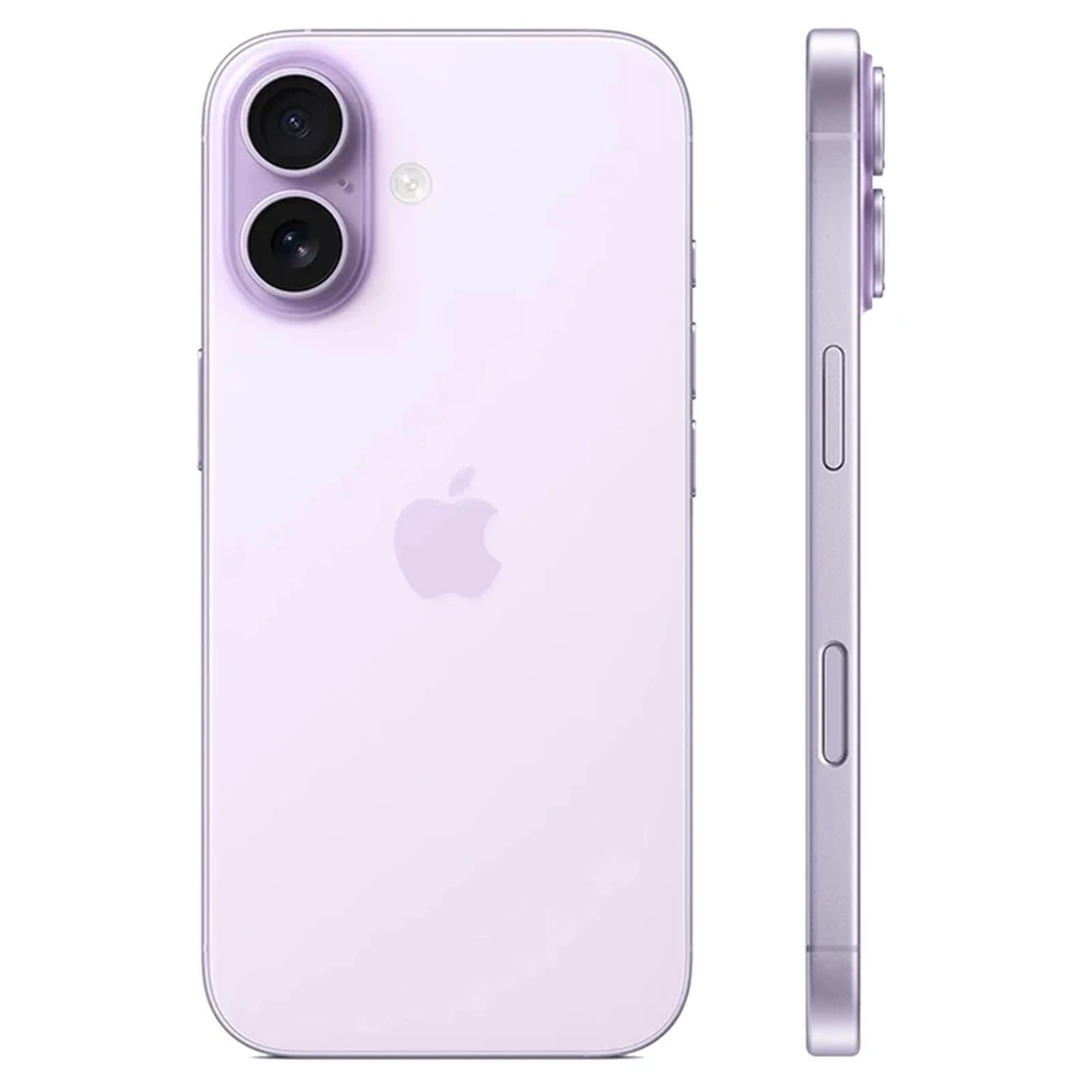 عکس از رنگ بنفش گوشی موبایل آیفون Apple Iphone 17 normal 256GB ZAA