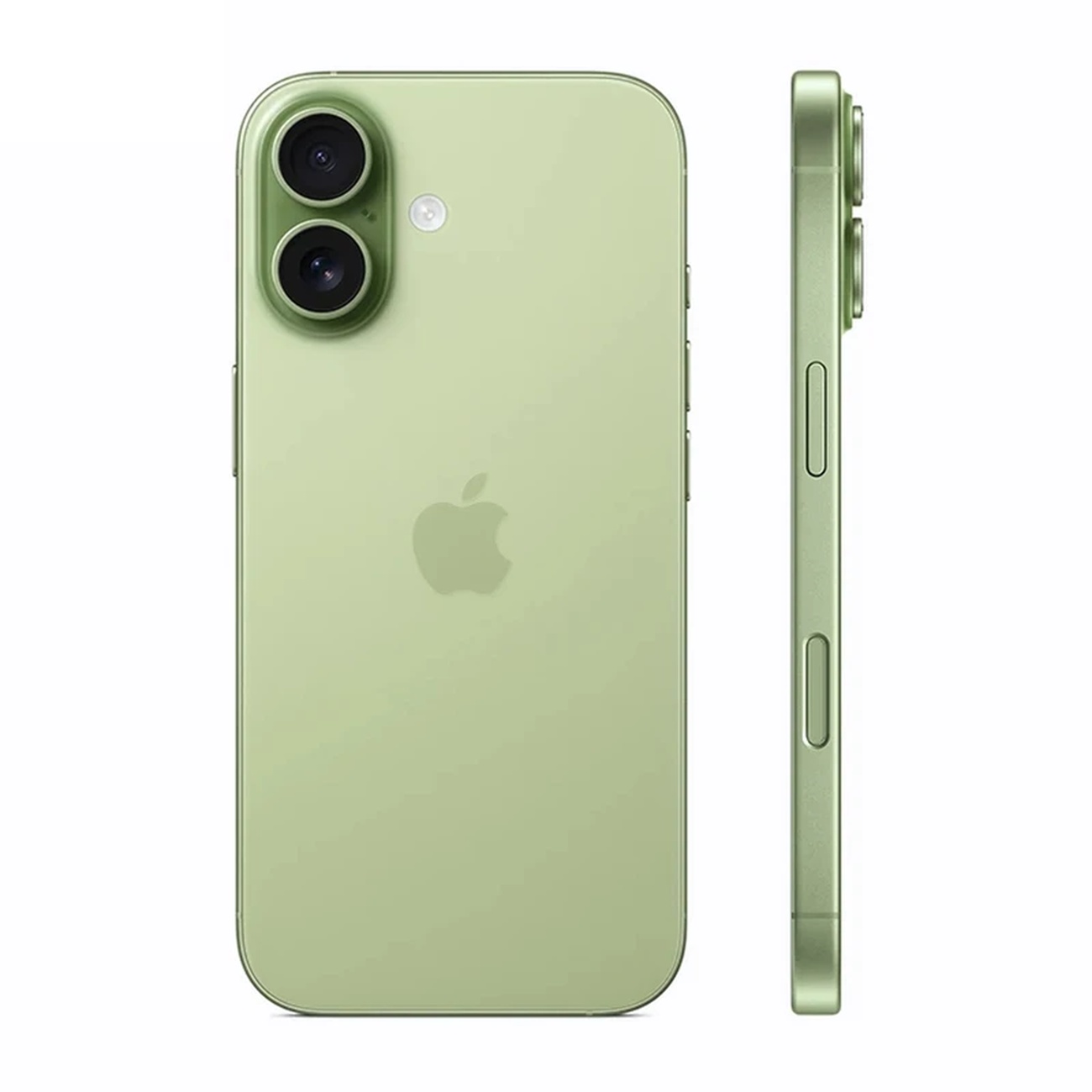 عکس از رنگ سبز گوشی موبایل آیفون Apple Iphone 17 normal 256GB ZAA