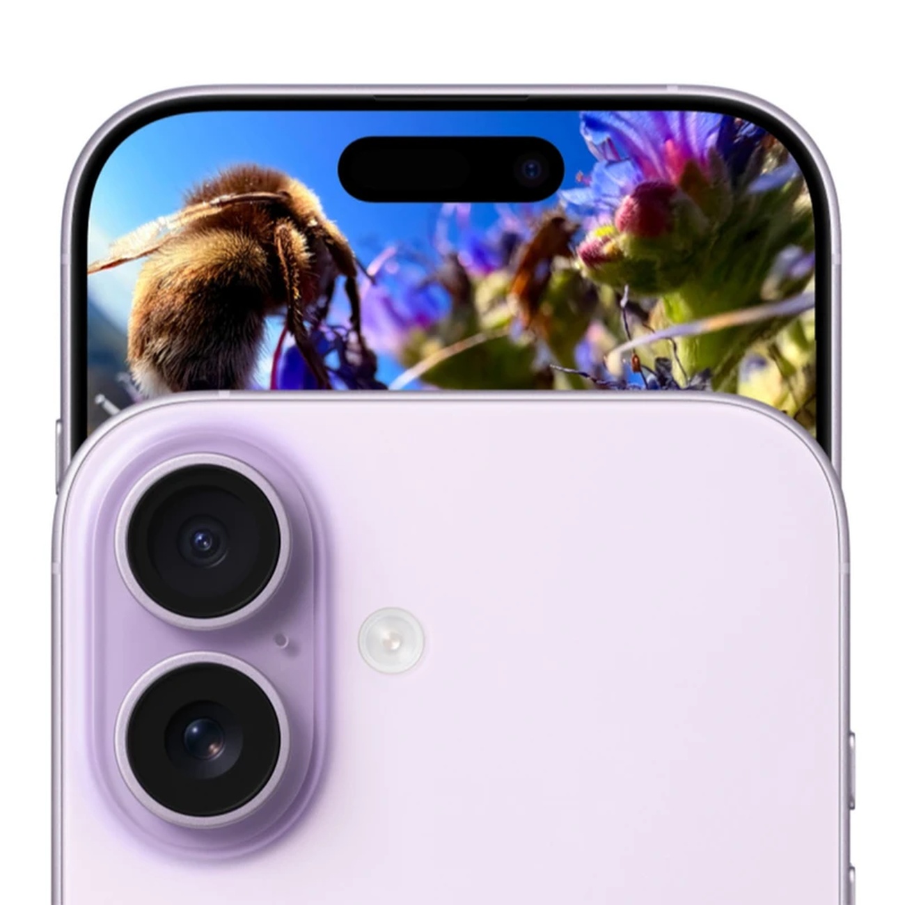 عکس از جزئیات گوشی موبایل آیفون Apple Iphone 17 normal 256GB ZAA