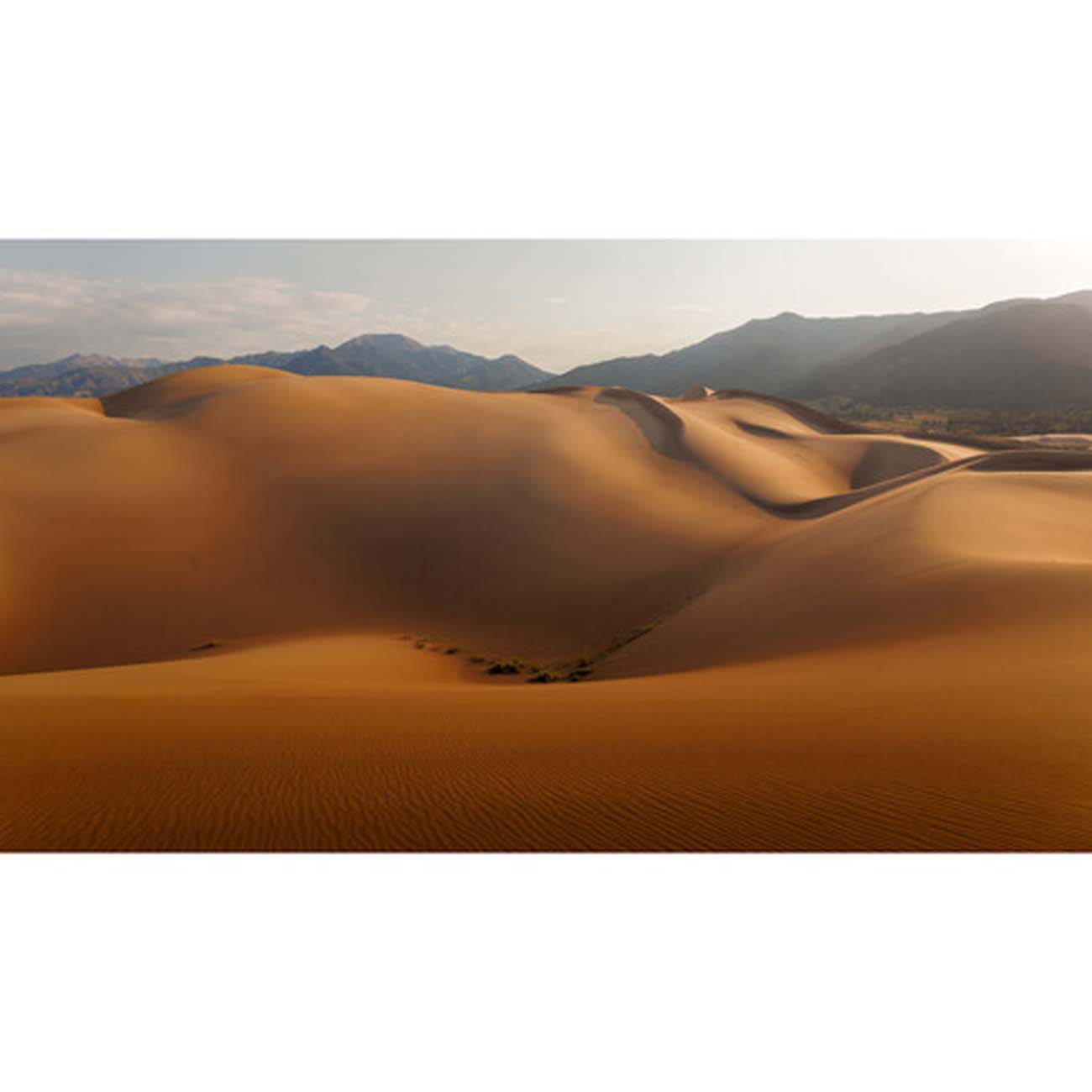 نمای کاربردی دوربین بدون آینه فول‌فریم کانن Canon EOS R8 Mark II Mirrorless Camera with 24-50mm f/4.