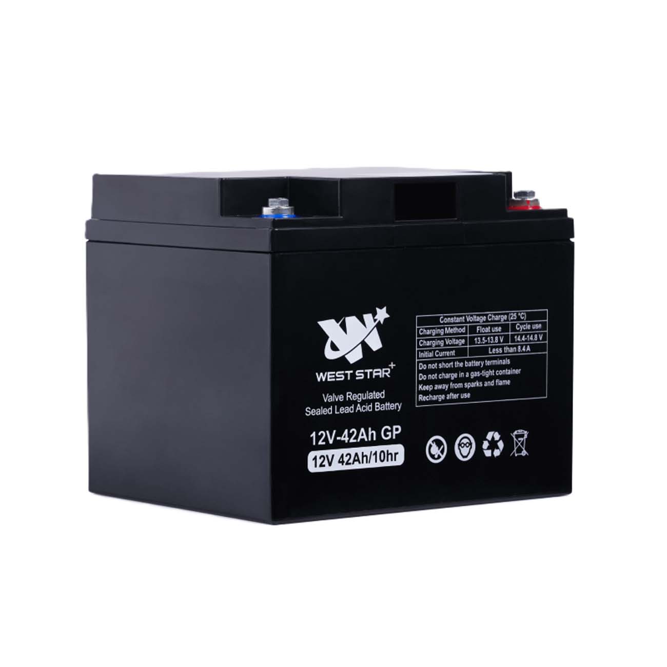 نمای جانبی از باتری یو پی اس 42 آمپر وست استار West Star Plus 42Ah 12V UPS Battery