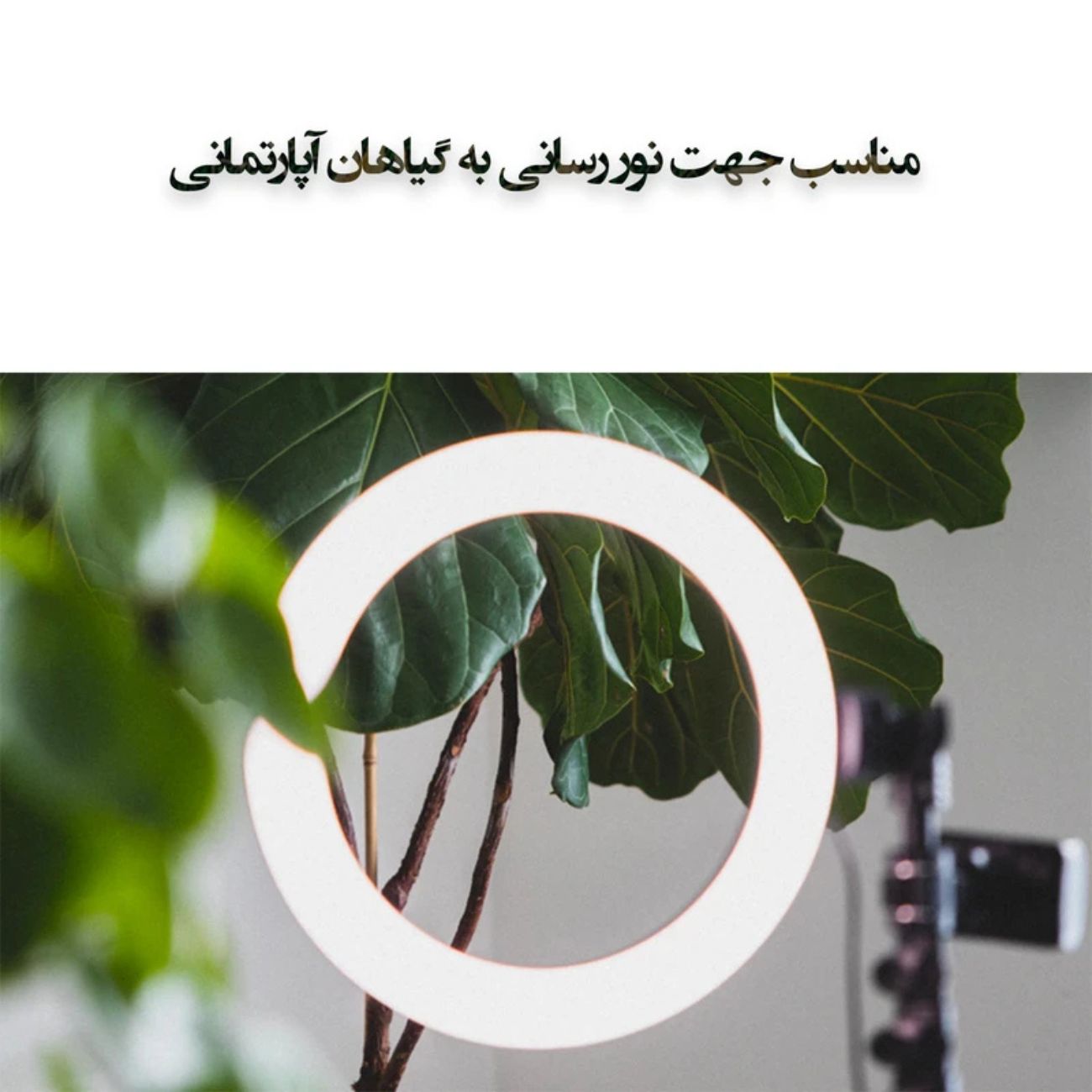 نمای مختلف رینگ لایت LJJ-26 RGB-26cm Ring Light