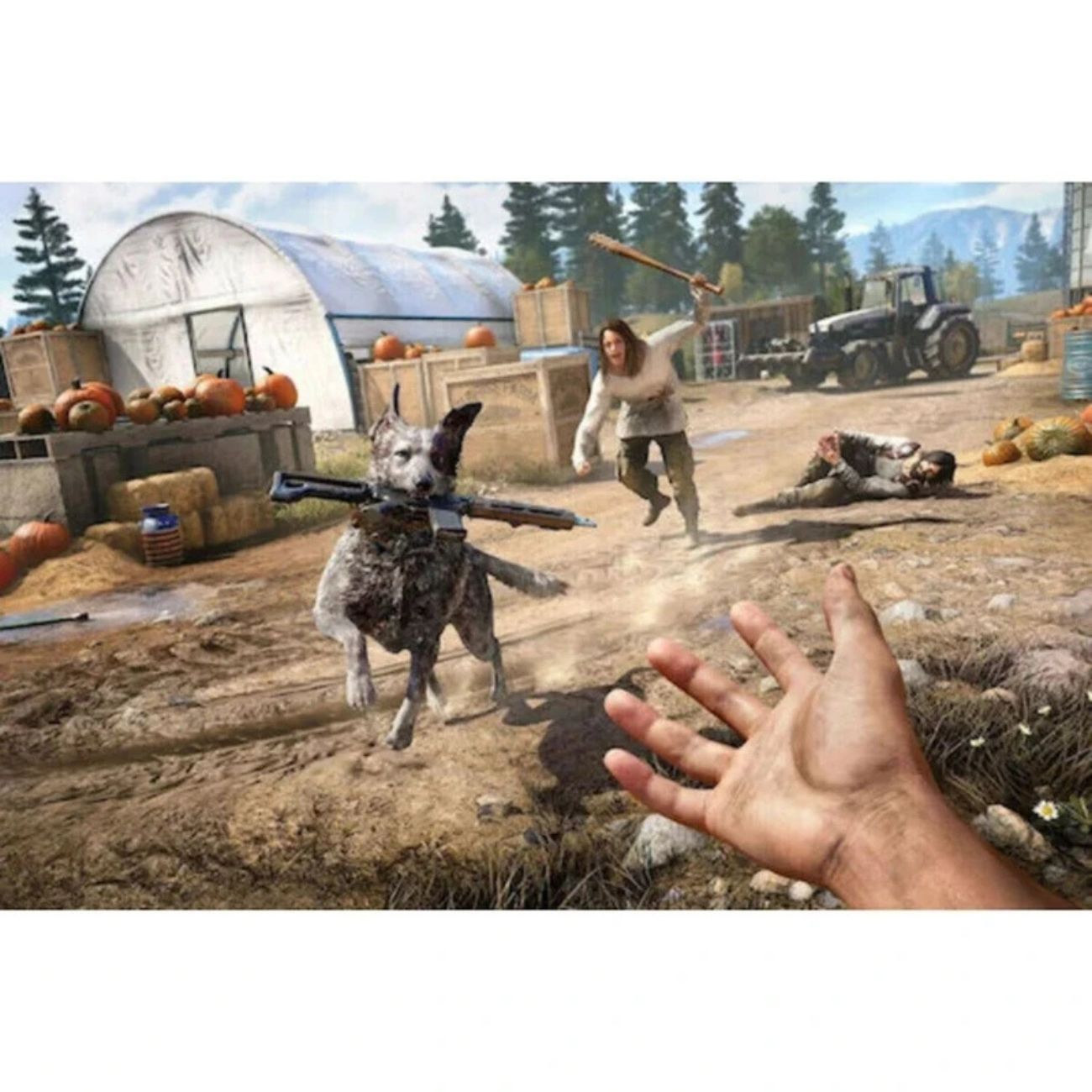نمای کامل بازی پلی استیشن Far Cry 4 Far Cry 5 Double Pack Ps4 Game