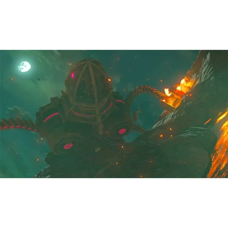 The Legend of Zelda : Breath of the Wil _ Nintendo Switch