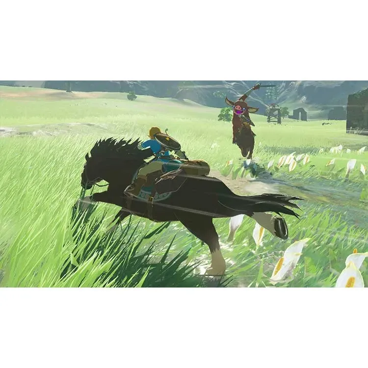 The Legend of Zelda : Breath of the Wil _ Nintendo Switch