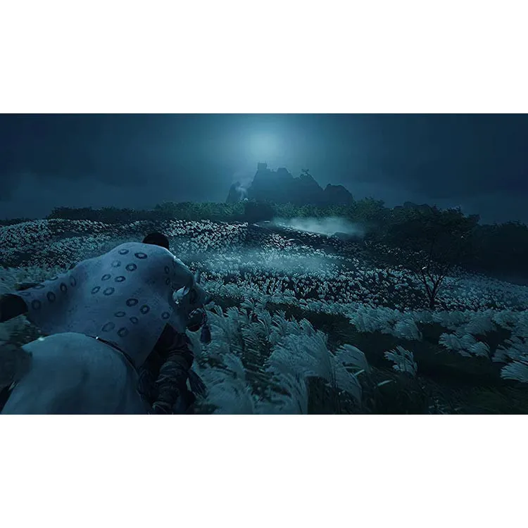 بازی Ghost of Tsushima Director's Cut PS4