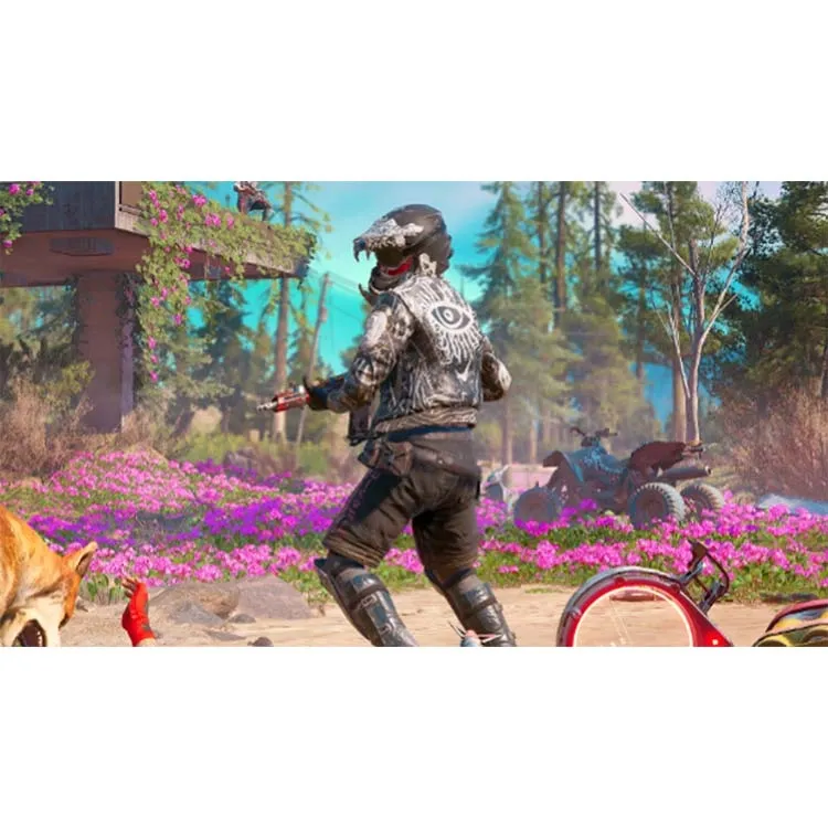 Far Cry New Dawn PS4