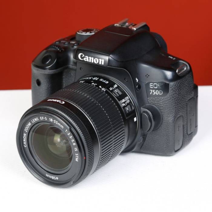 دوربین دست دوم Canon EOS 750D Kit 18-55mm f/3.5-5.6 IS STM (260000 شات)
