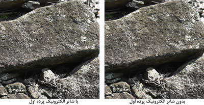 راهنمای دوربین d810