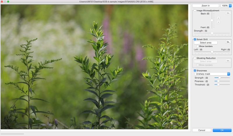 Dual-Pixel-RAW-Optimizer-window