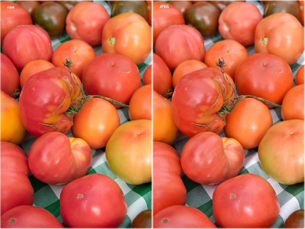 معرفی دوربین نیکون D3400