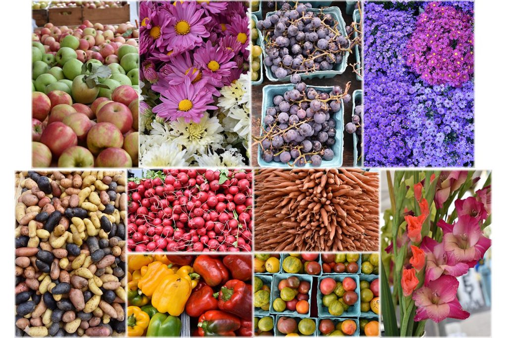 معرفی دوربین نیکون D3400