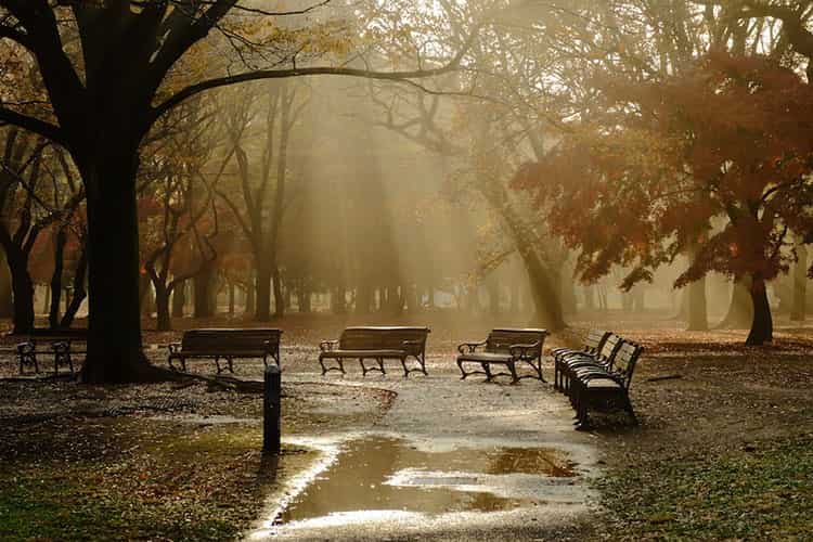 دوربین Canon EOS 750D