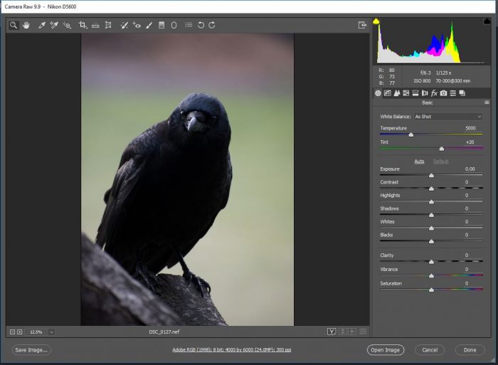 دانلود ویرایشگر فایل خام