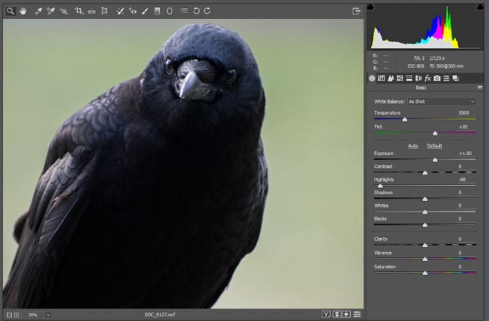 آموزش ویرایش عکس