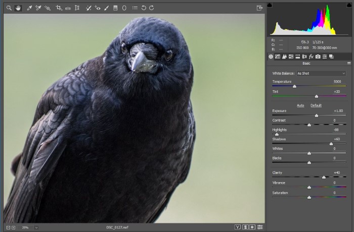 آموزش ویرایش عکس
